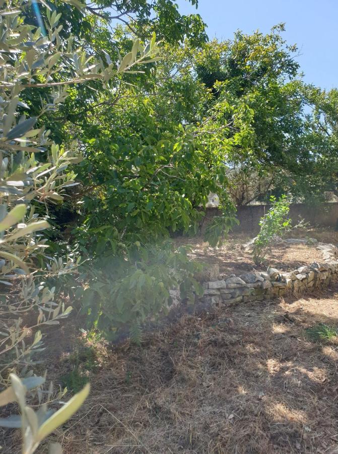 Arménoi Vila Pasiphae מראה חיצוני תמונה