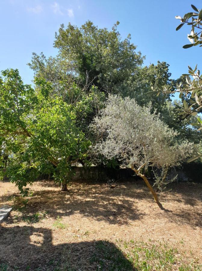 Arménoi Vila Pasiphae מראה חיצוני תמונה